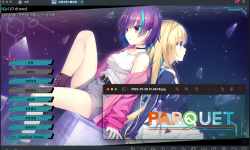 Featured image of post PARQUET 官中